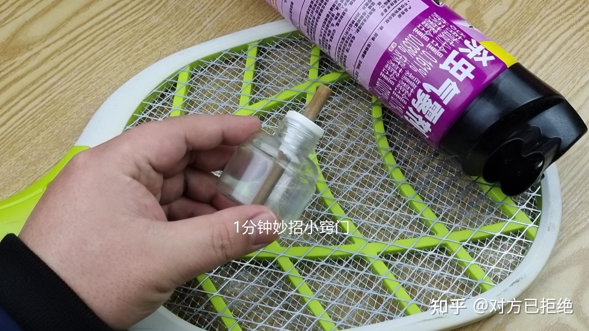 家里蚊子多怎么办 在房间放一碗水睡觉再不担心蚊子咬