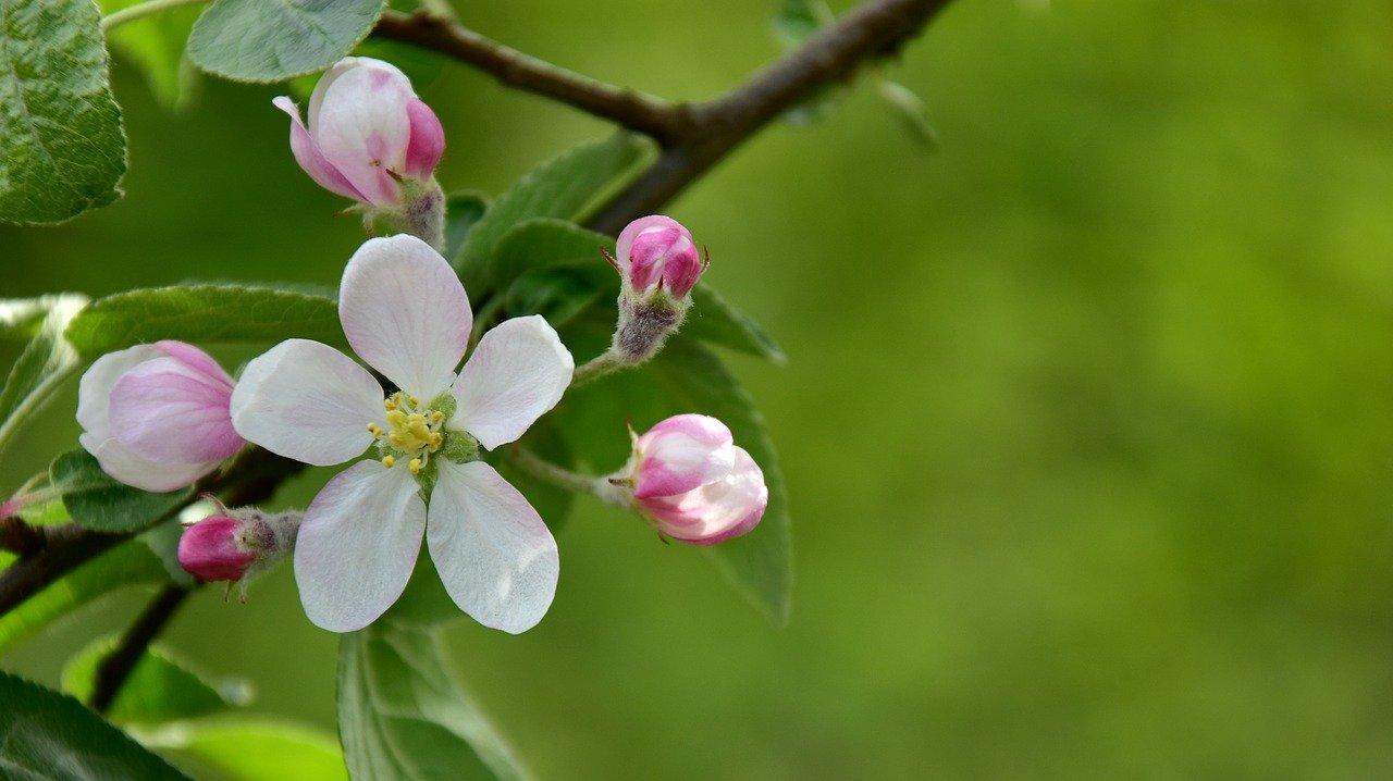看山庭数字多少钱