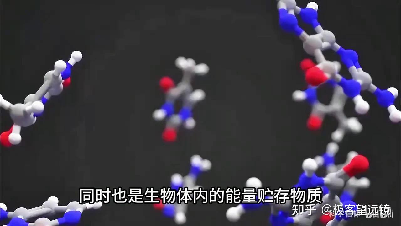 生物化学中的四种生物大分子是哪四种? - 知乎