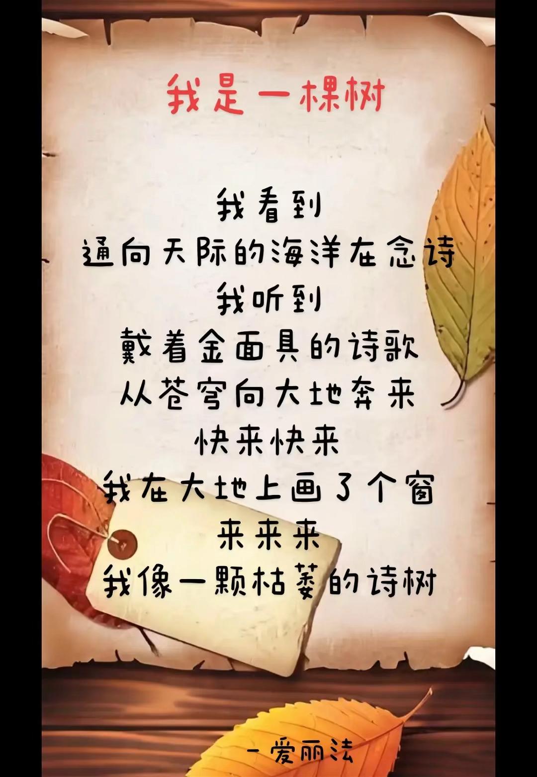 在头条怎么发表文章、诗歌(在头条怎么发表文章,诗歌视频)