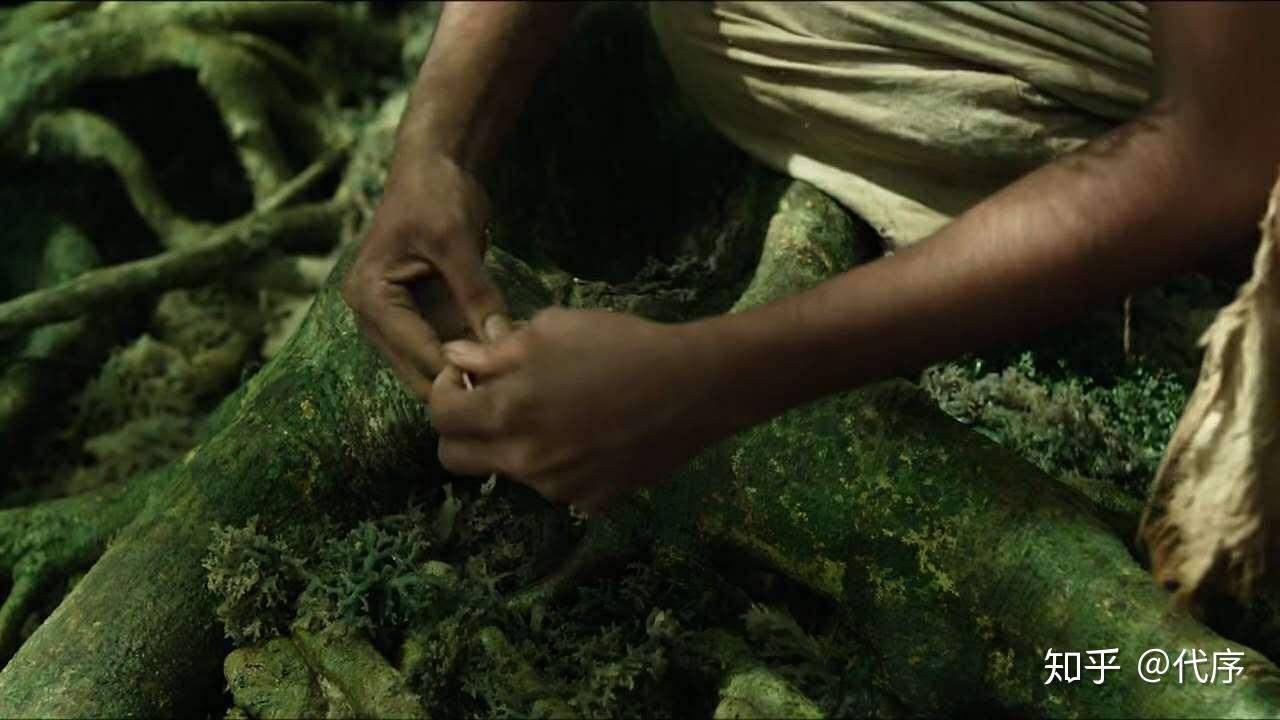 LIFE OF PI》的三个故事- 知乎