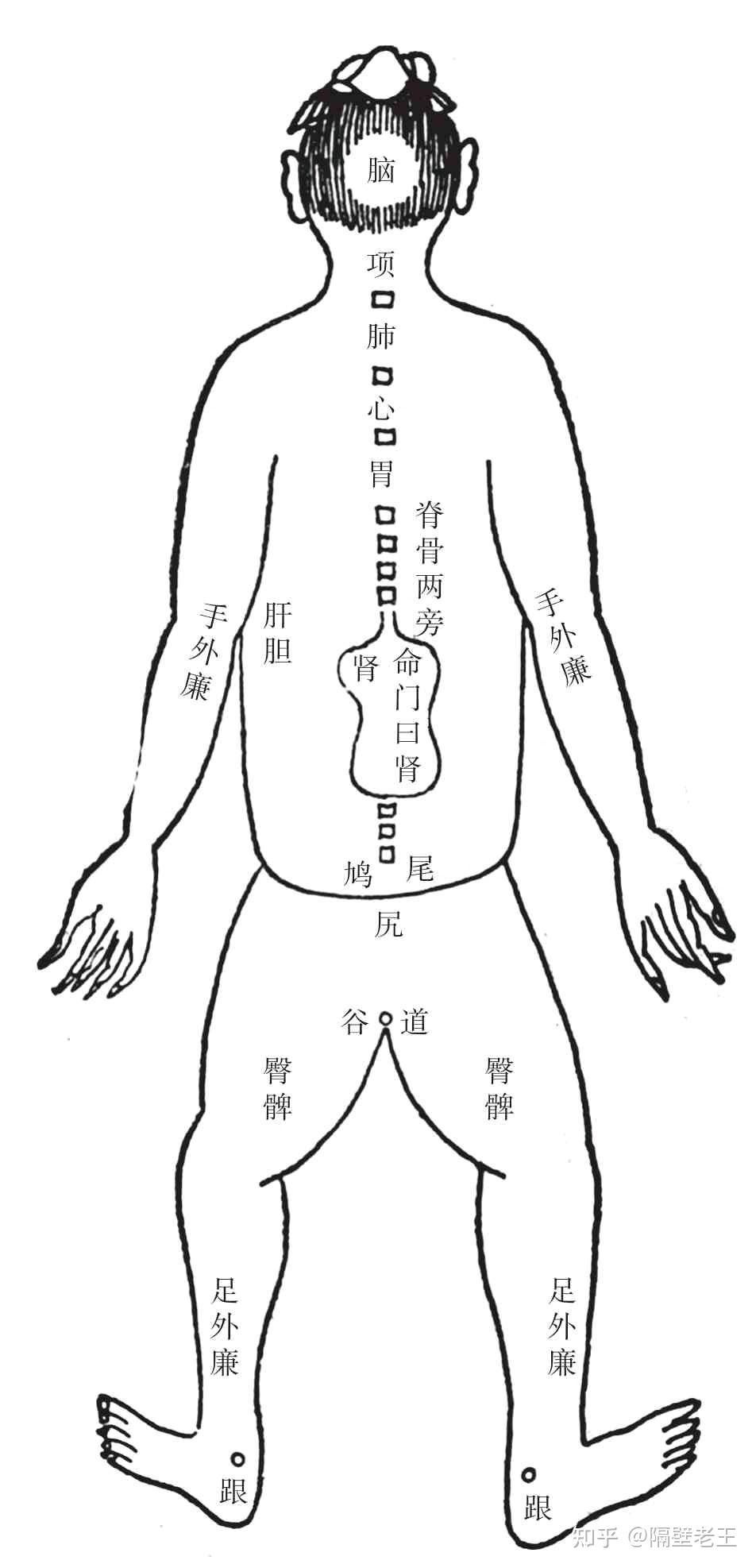 "望,闻,问,切"四诊法在中医的地位有多高?
