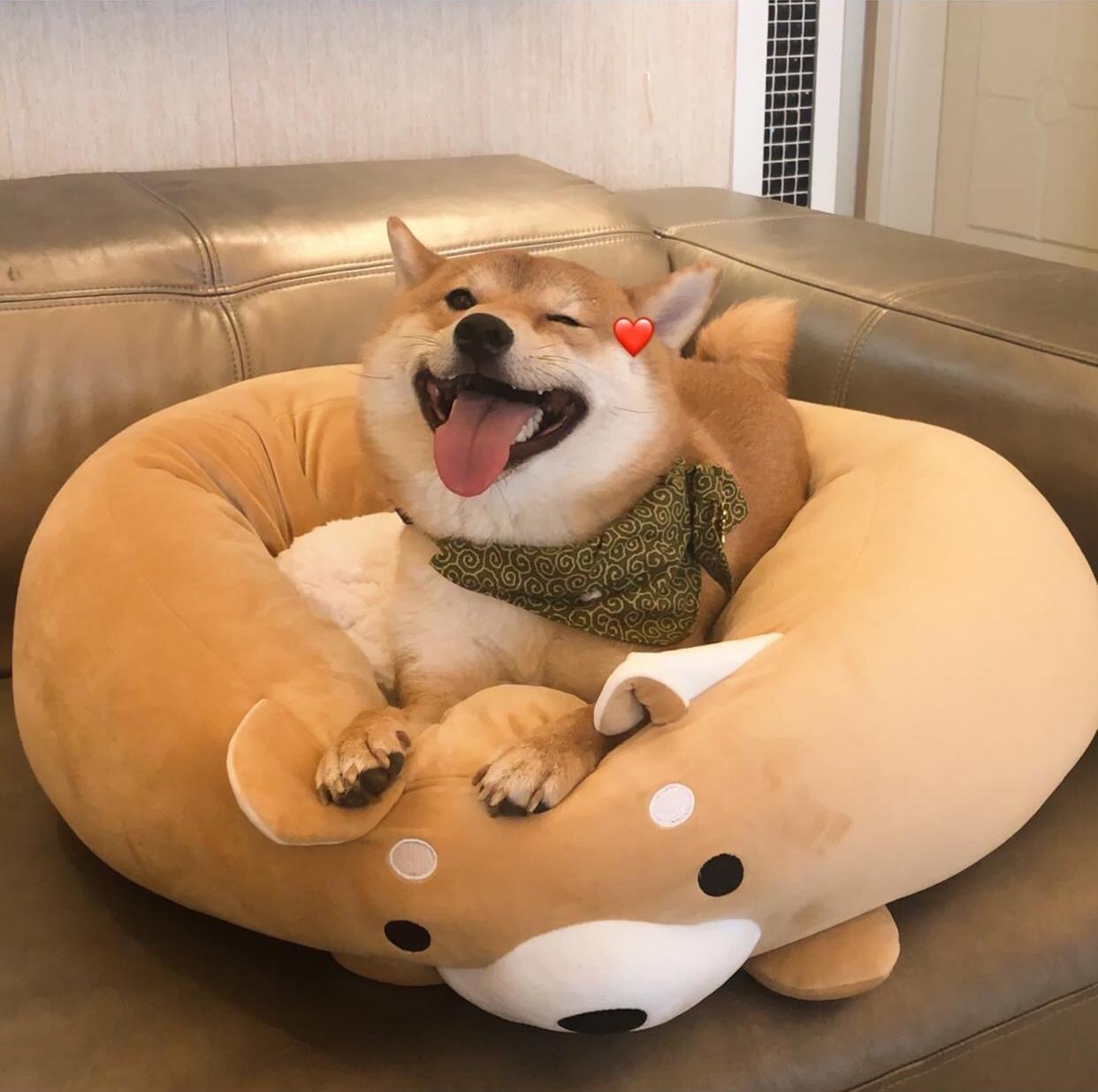 有没有什么惊艳的微信头像?-特别惊艳到人的微信头像