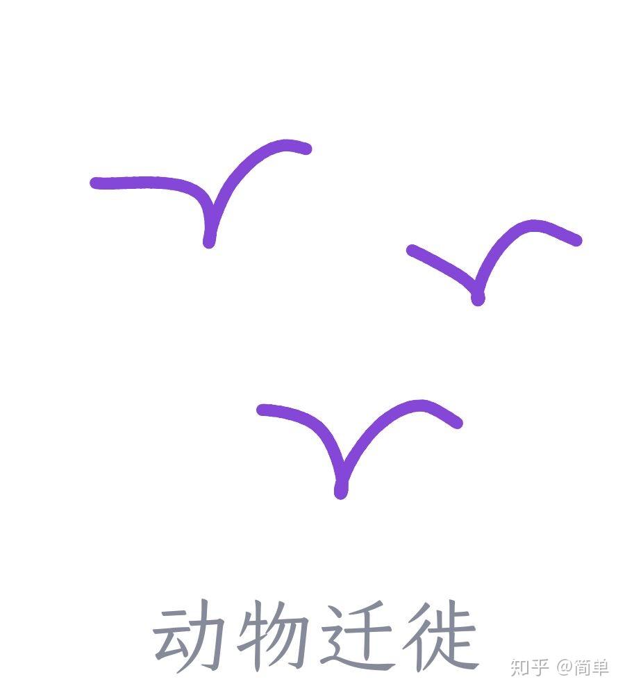 qq红包中的动物迁徙怎么画