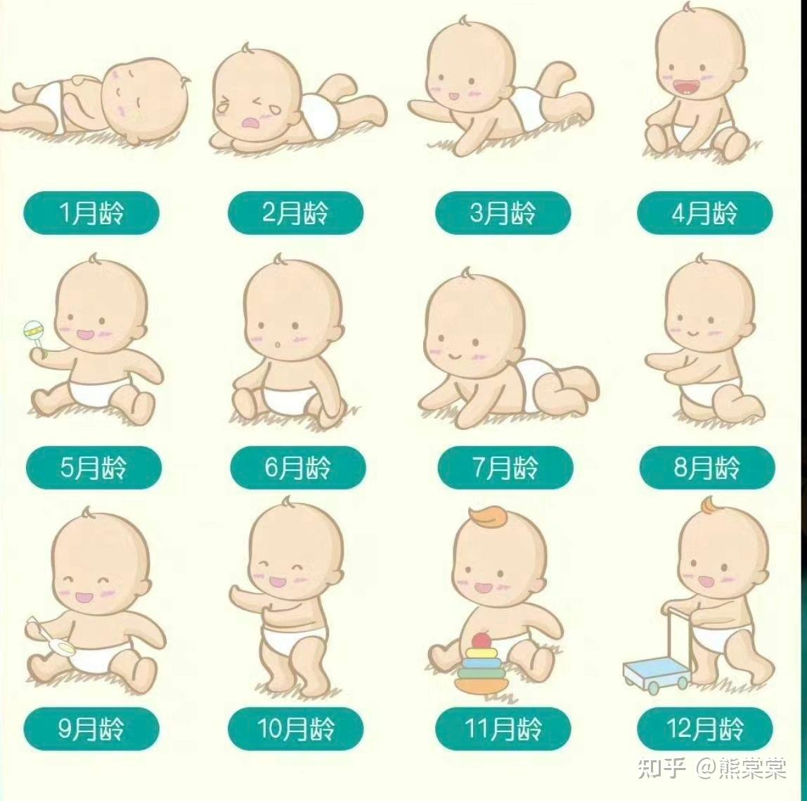 0-12个月龄宝宝成长发育指南,轻松育儿 - 知乎