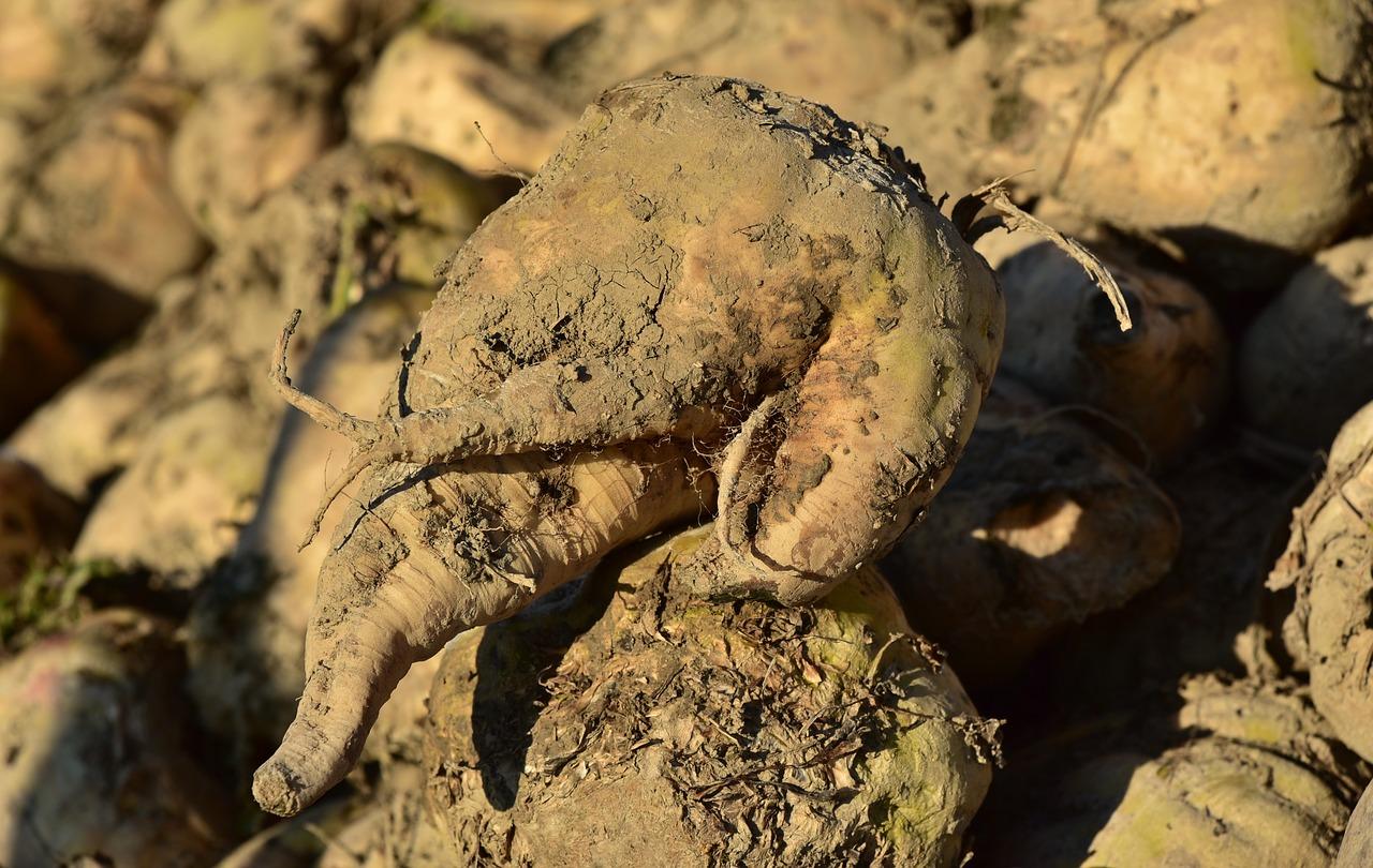 3. 淀粉去污效果