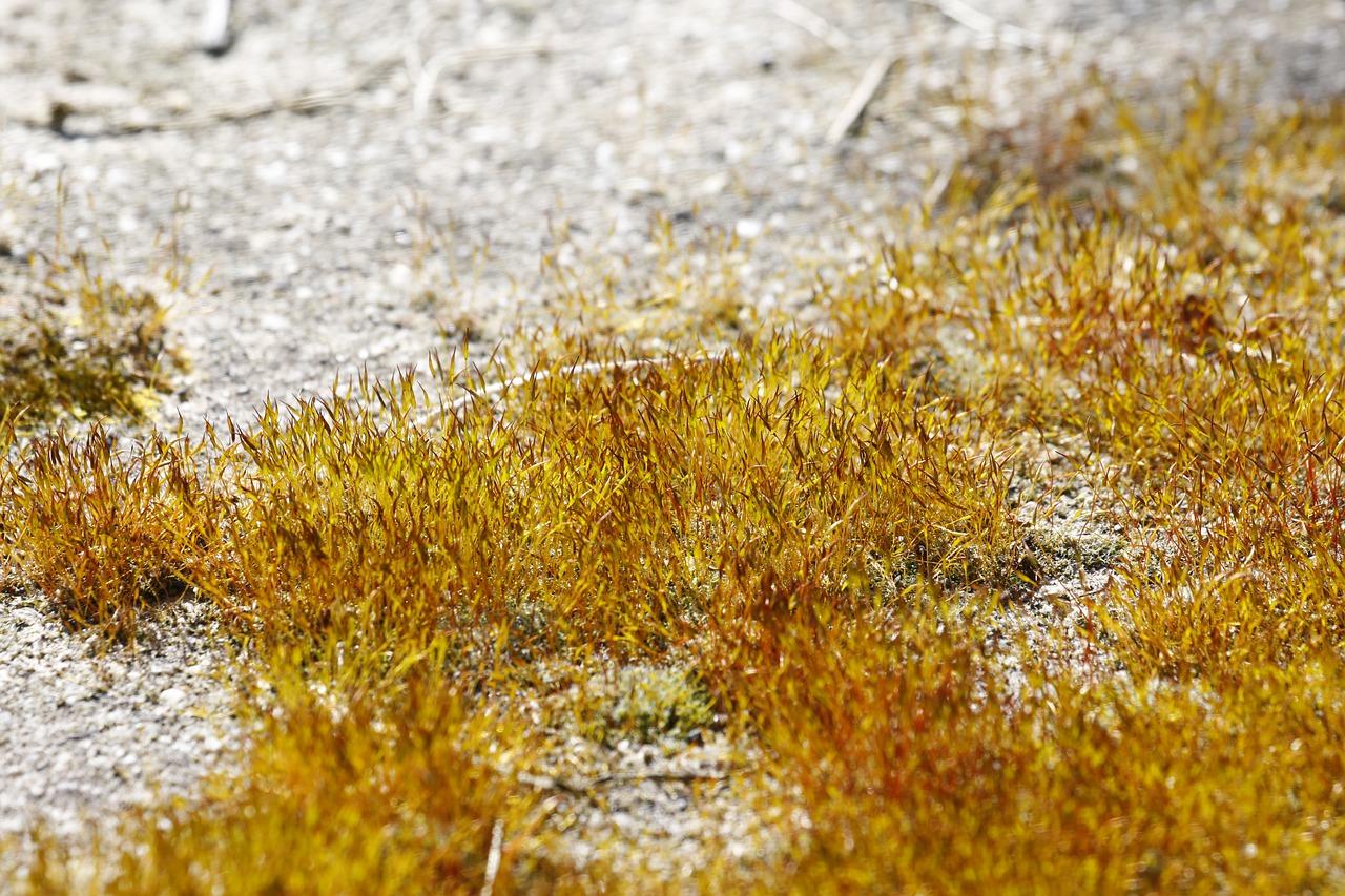 5. 室内标高要求