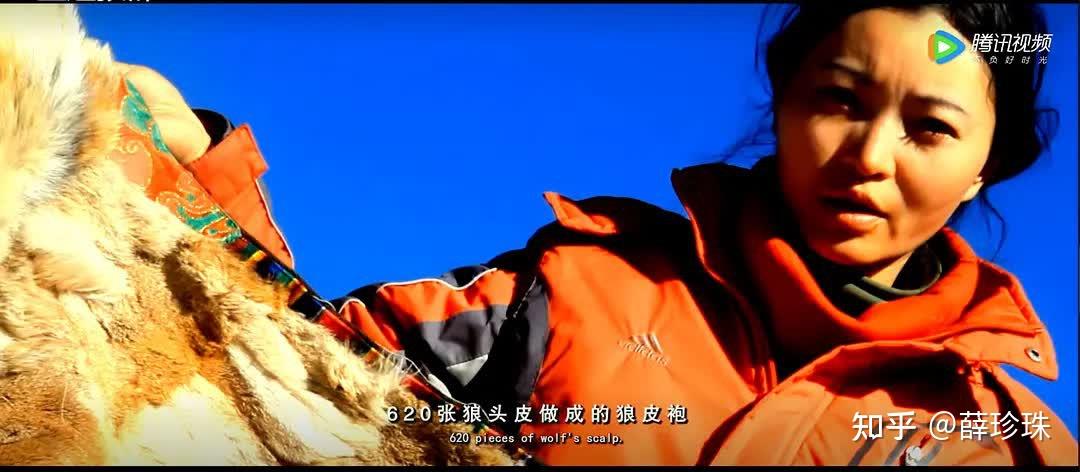 “狼妈”李微漪和狼王格林的故事是一个格林童话 - 知乎