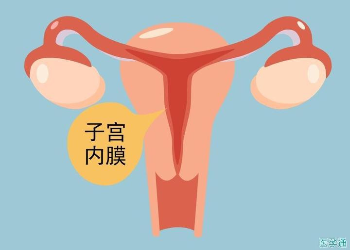 女性子宫内膜多厚才算正常81015mm