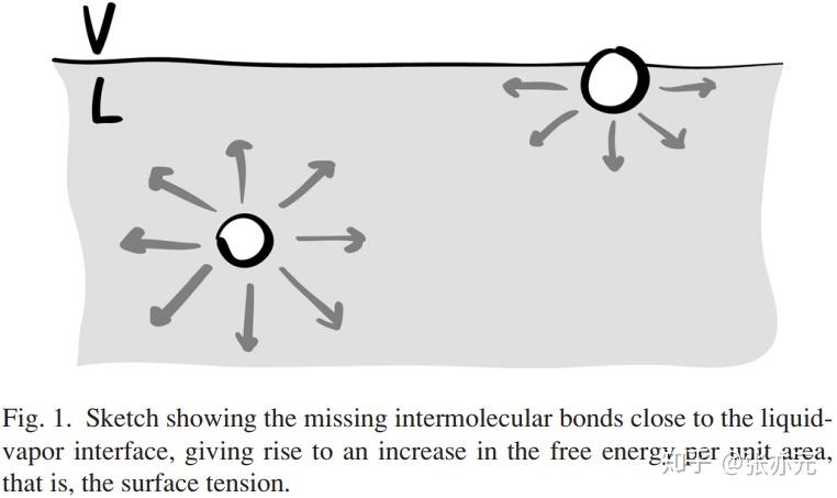 如何理解液体表面张力？ - 知乎