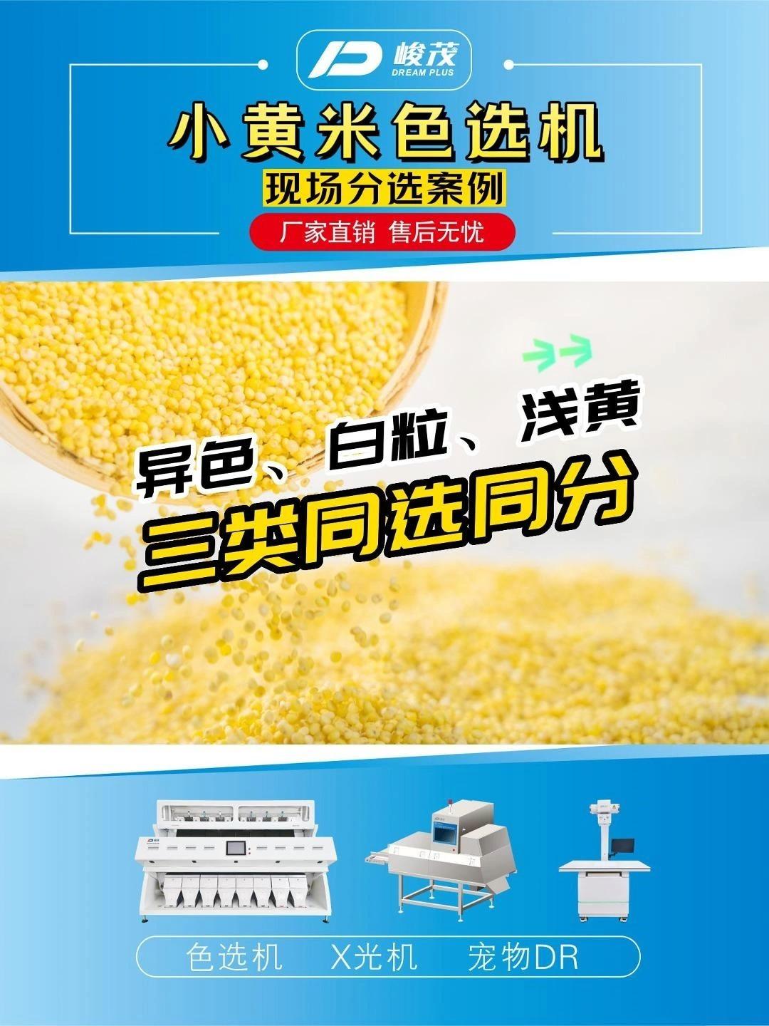 峻茂视觉AI智能杂粮色选机 黄米分选案例 小米异色粒、白粒、浅黄粒同选同分。 - 知乎