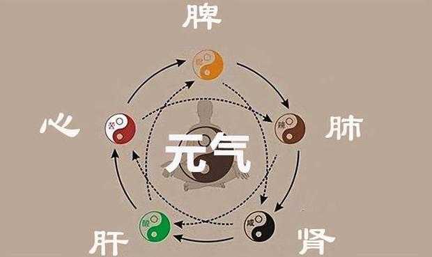 浅谈中医的「气」与藏医的「龙」 - 知乎