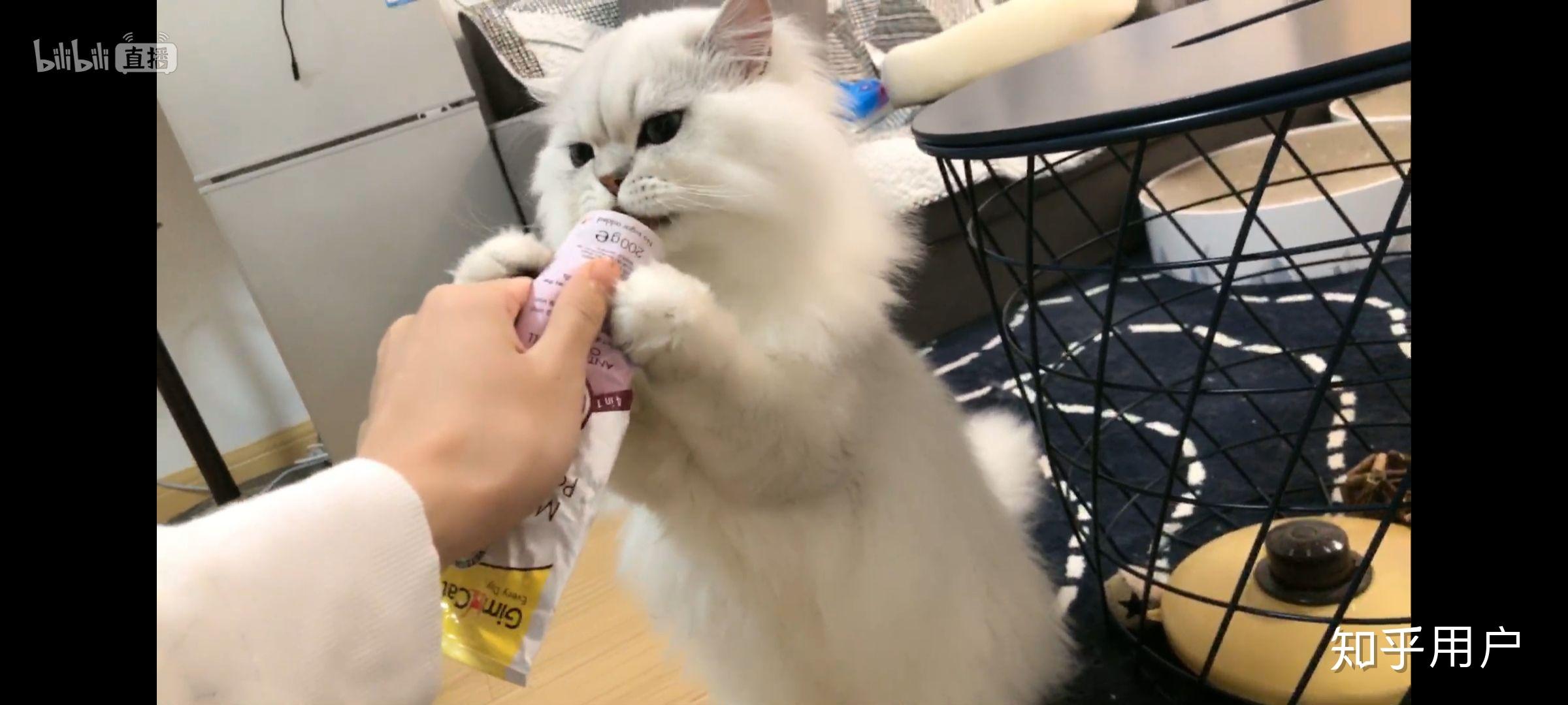 如何评价b站up主花少北的猫花生米