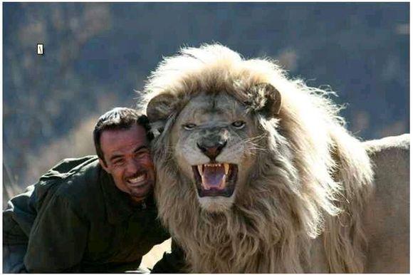 为什么我觉得狼给人的压迫感大于老虎和狮子? - 知乎