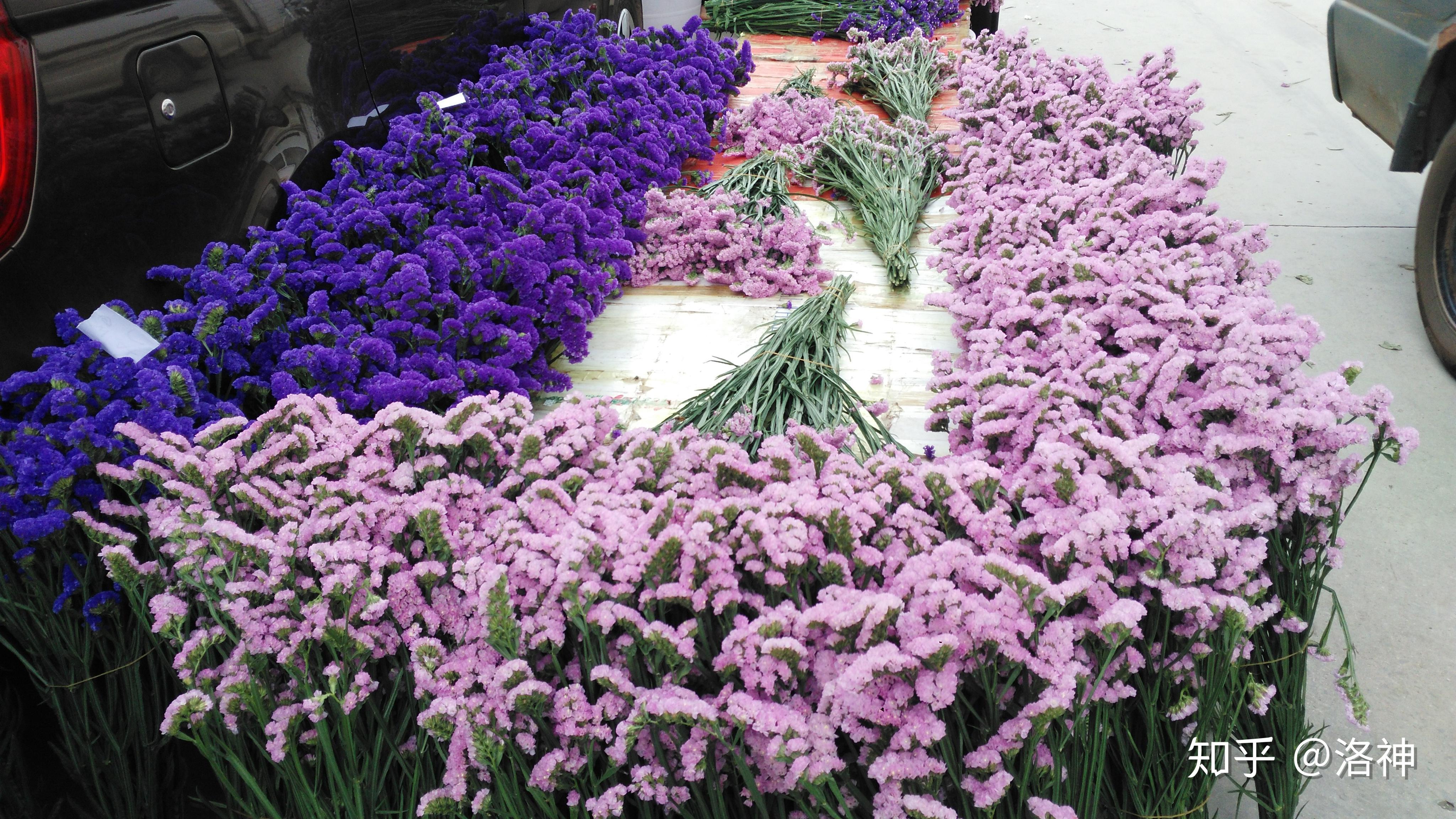 云南勿忘我干花晾晒基地在哪里?