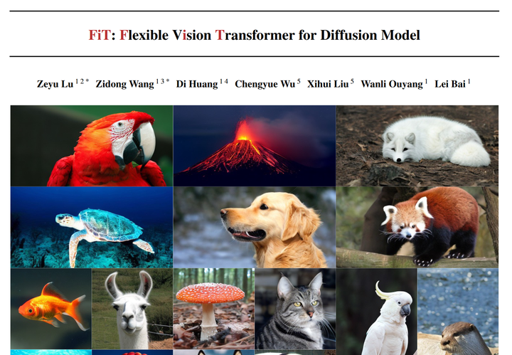 FiT: Flexible Vision Transformer for Diffusion Model 基于LLM算法的跨分辨率和长宽比的 ...