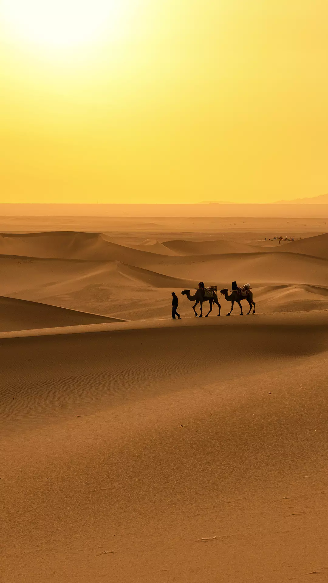 有哪些好看的棕色壁纸