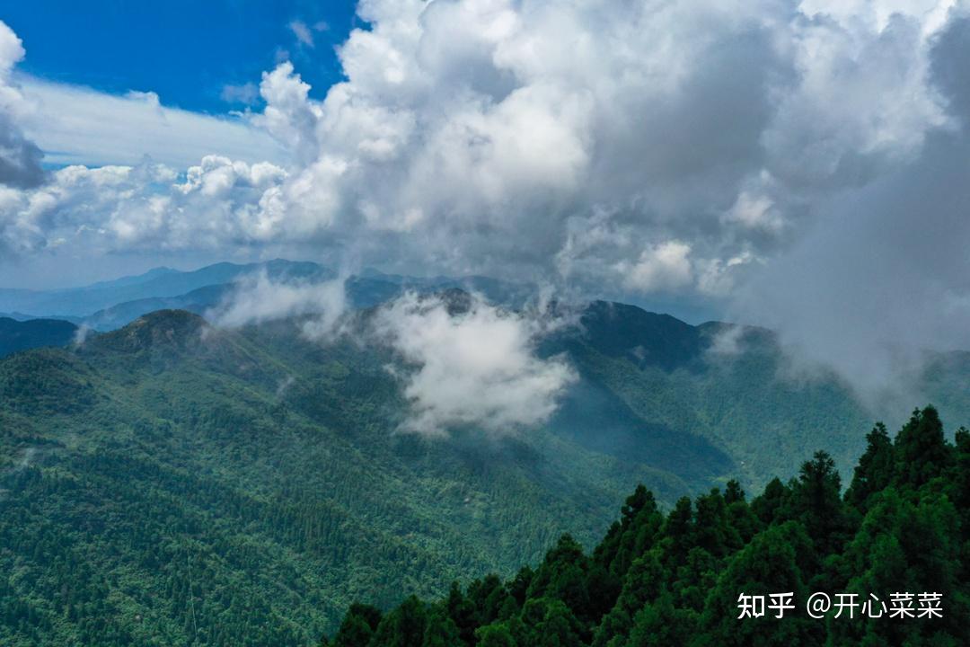 第一次爬南岳衡山,如同躺平式爬山,游客:这也太舒服了吧! - 知乎