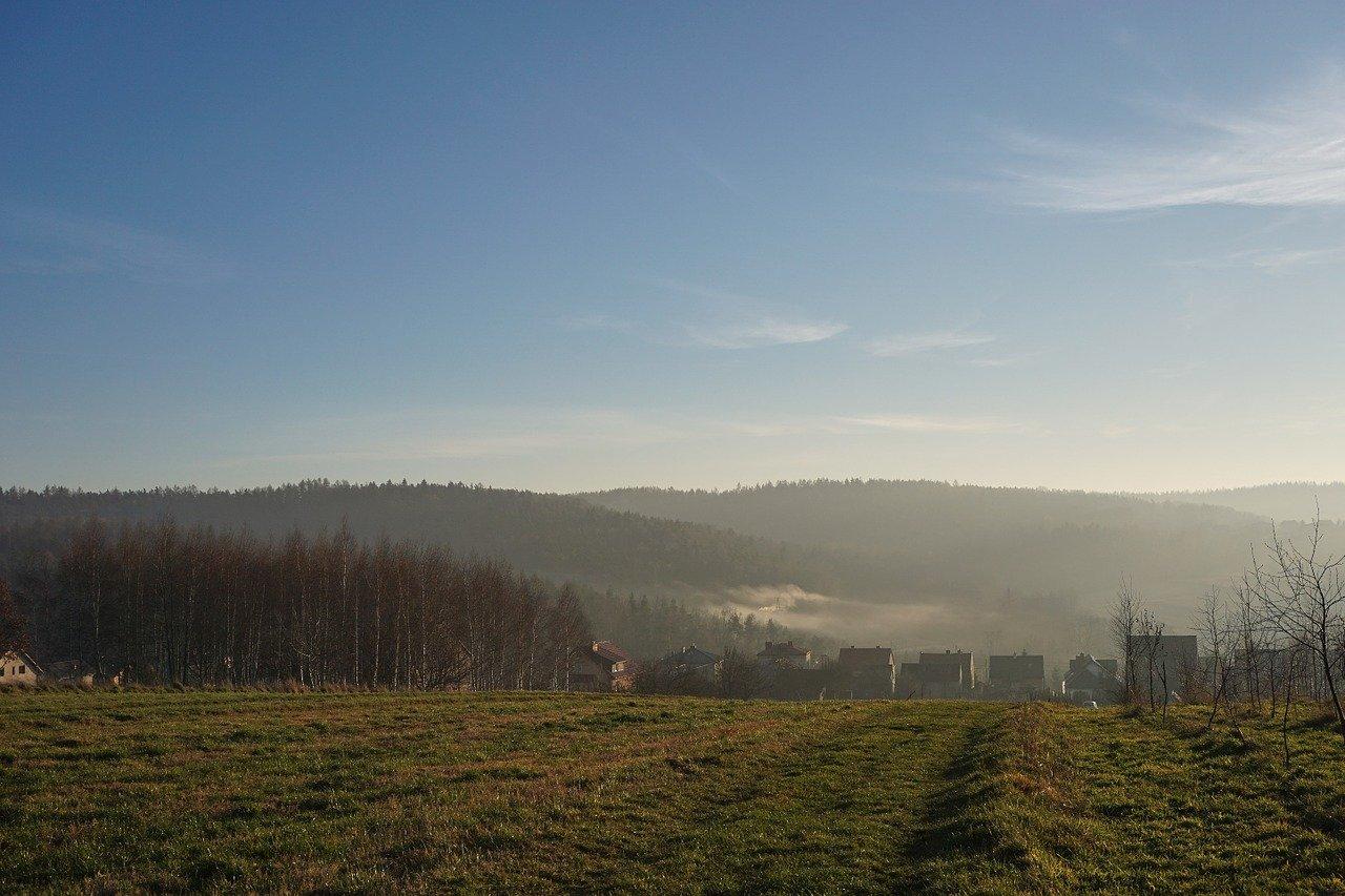 如何栽植组团景观