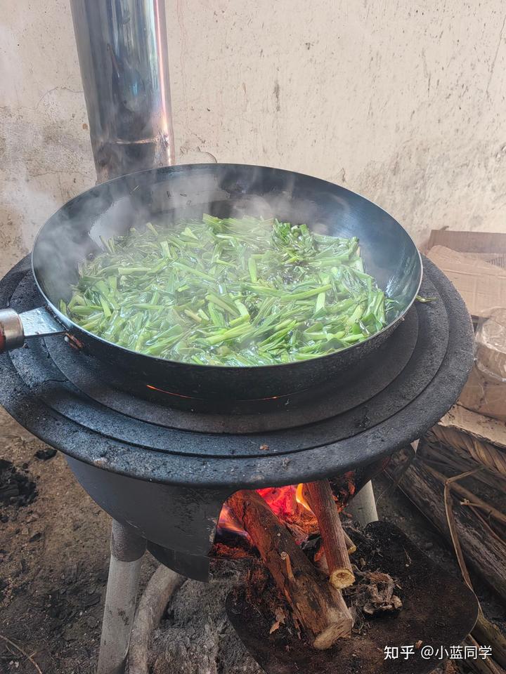 人，可以废物到什么程度？
