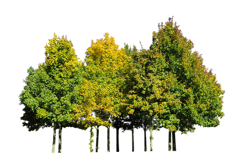 榆花苑有什么不足