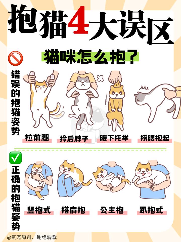 猫咪不给抱?解锁正确抱猫姿势! - 知乎