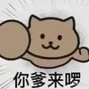 女朋友不是山大的