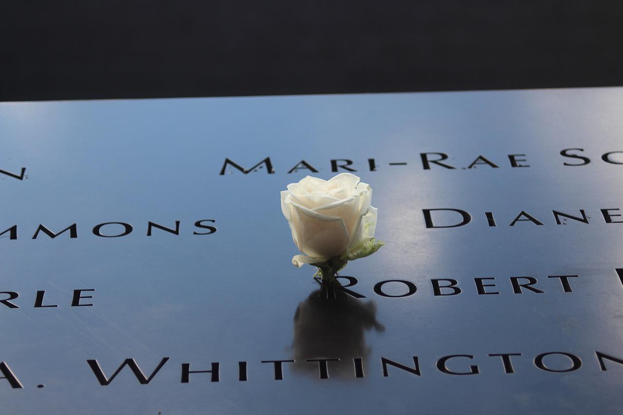 玫瑰园分布地图