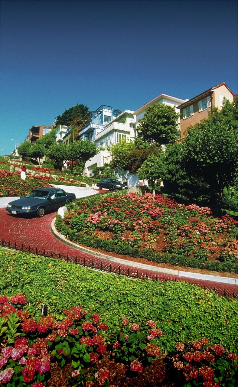 什么属于园林小区