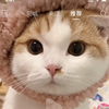 小熊和小丸子