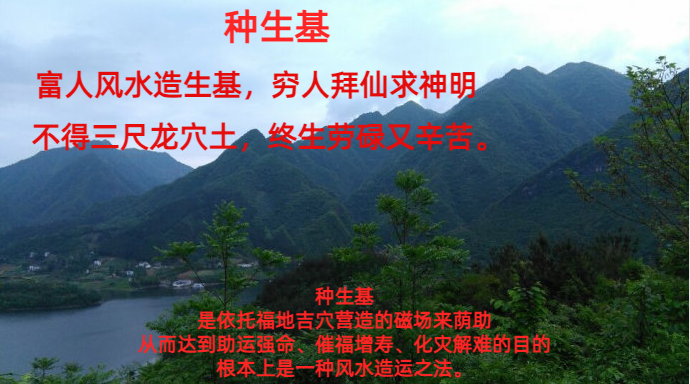 了解种生基有什么作用吗?知道有哪些名人做过种生基吗? - 知乎
