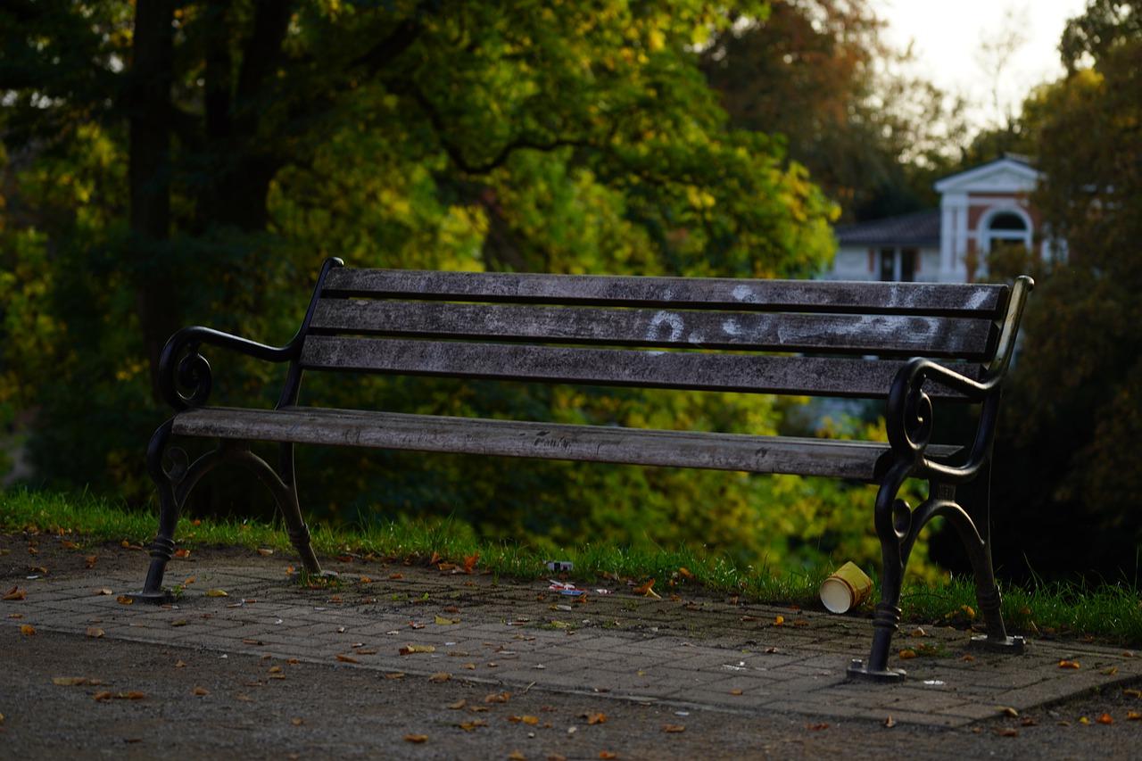 2. 栎木坑公园美景