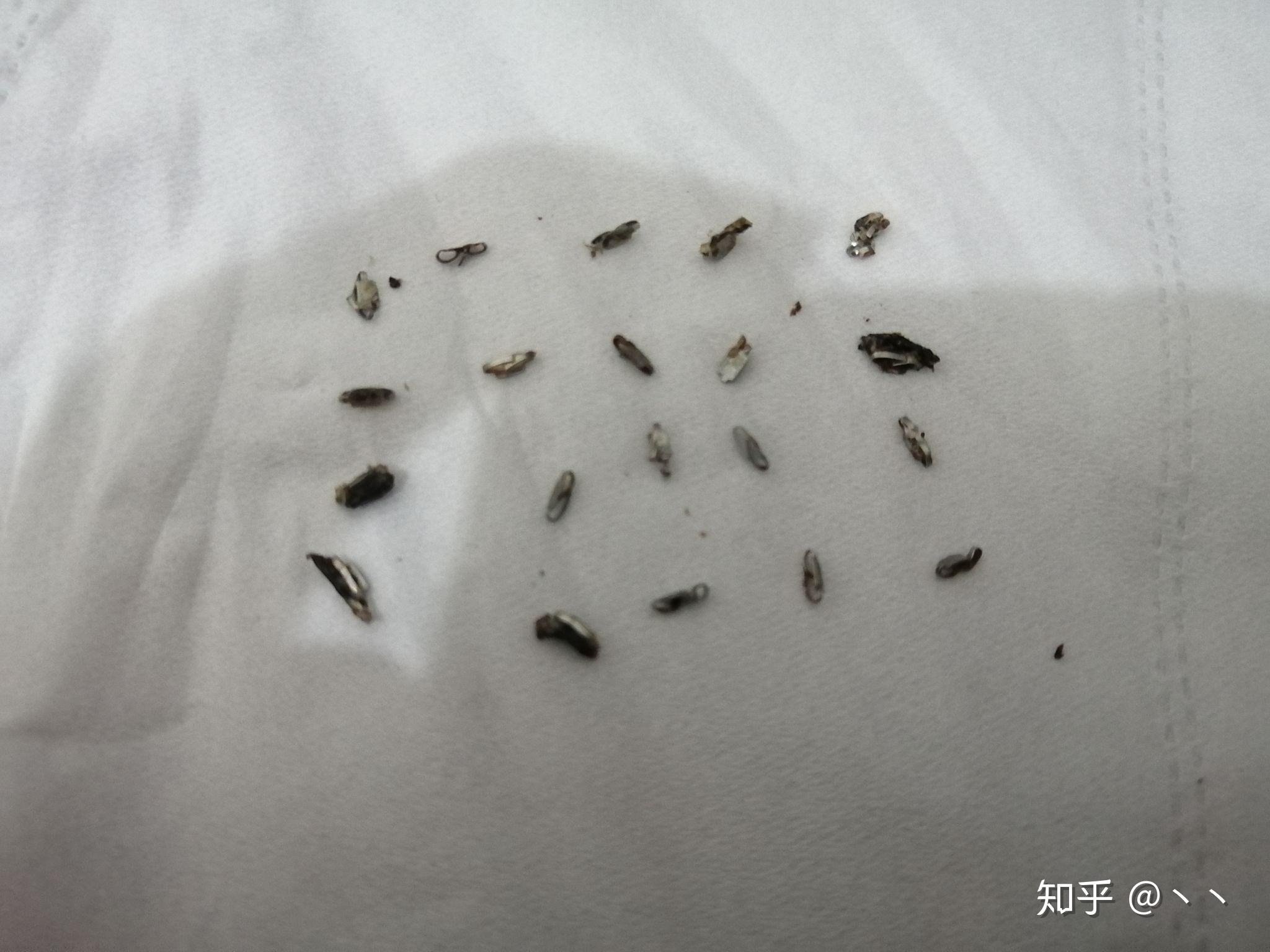 环切包皮手术大家的钛钉都是多久掉了啊,大家用盐水泡了吗?