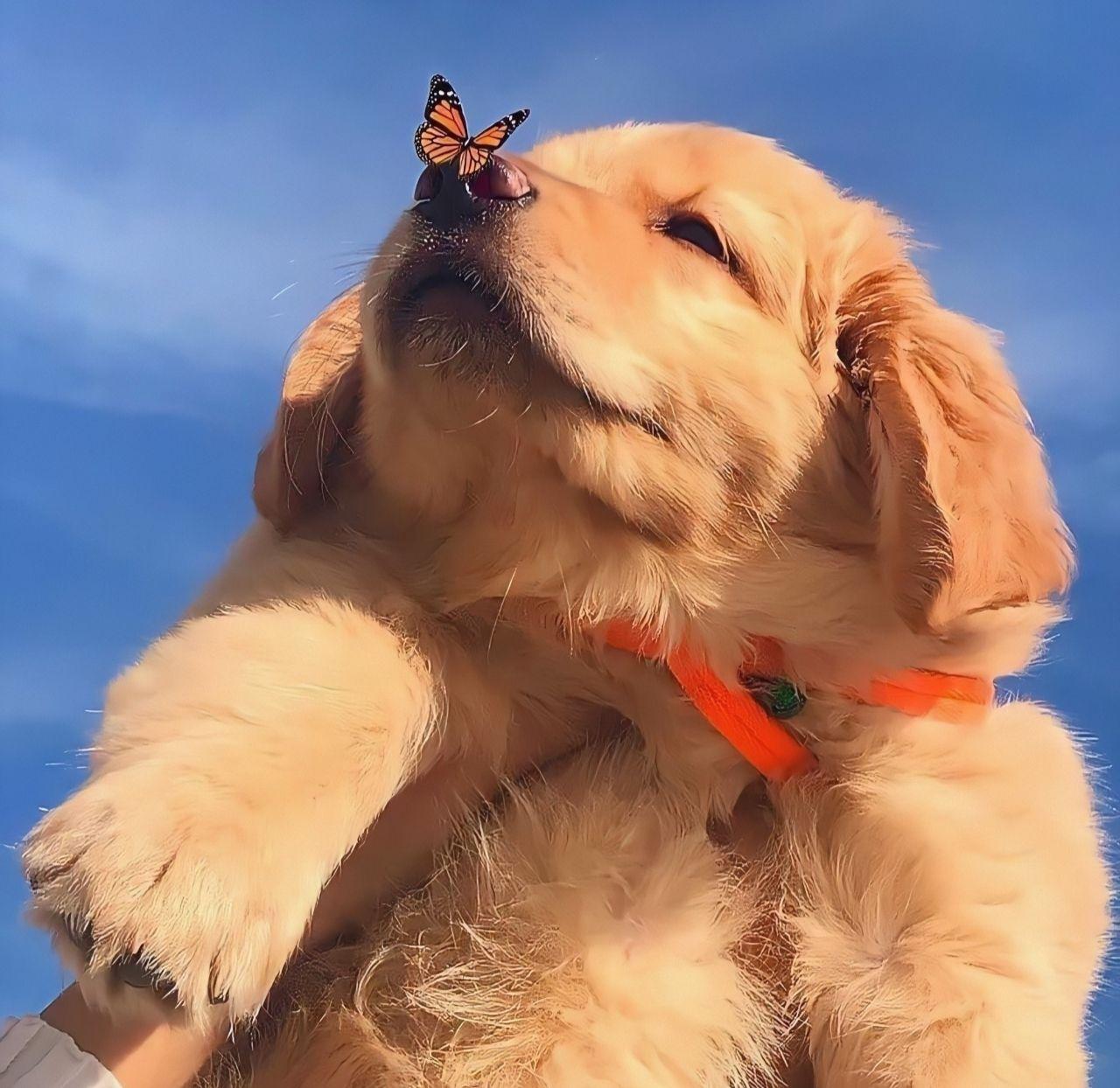 有什么一眼看上去就很舒服的头像