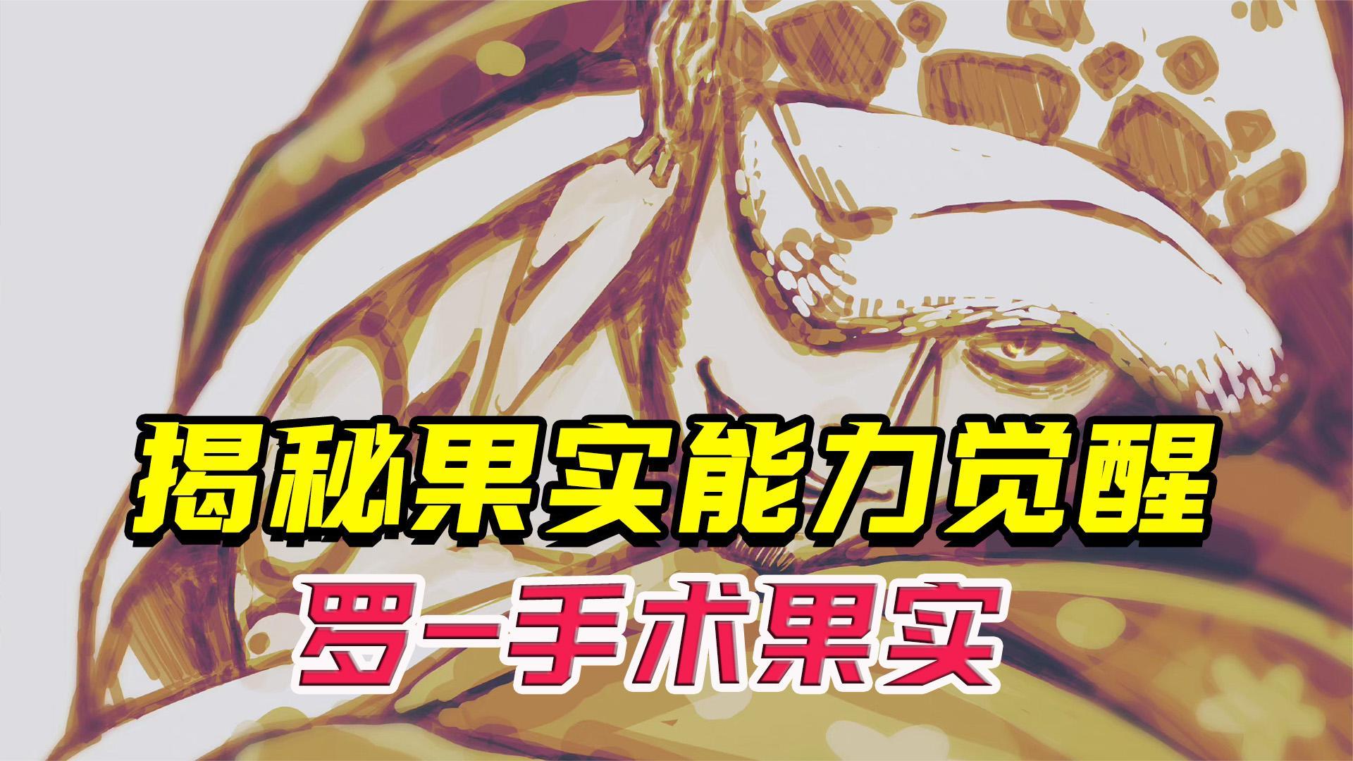 世界政府知道罗的果实是手术果实吗