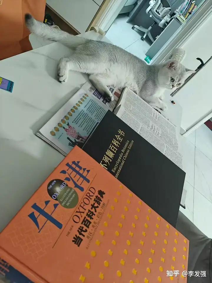 你读过最厚最大块头的书是什么?