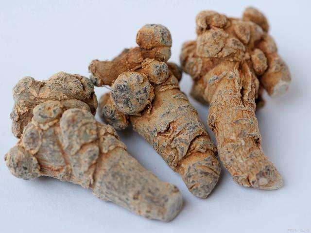 三七的功效与作用，三七的吃法及禁忌人群 - 知乎