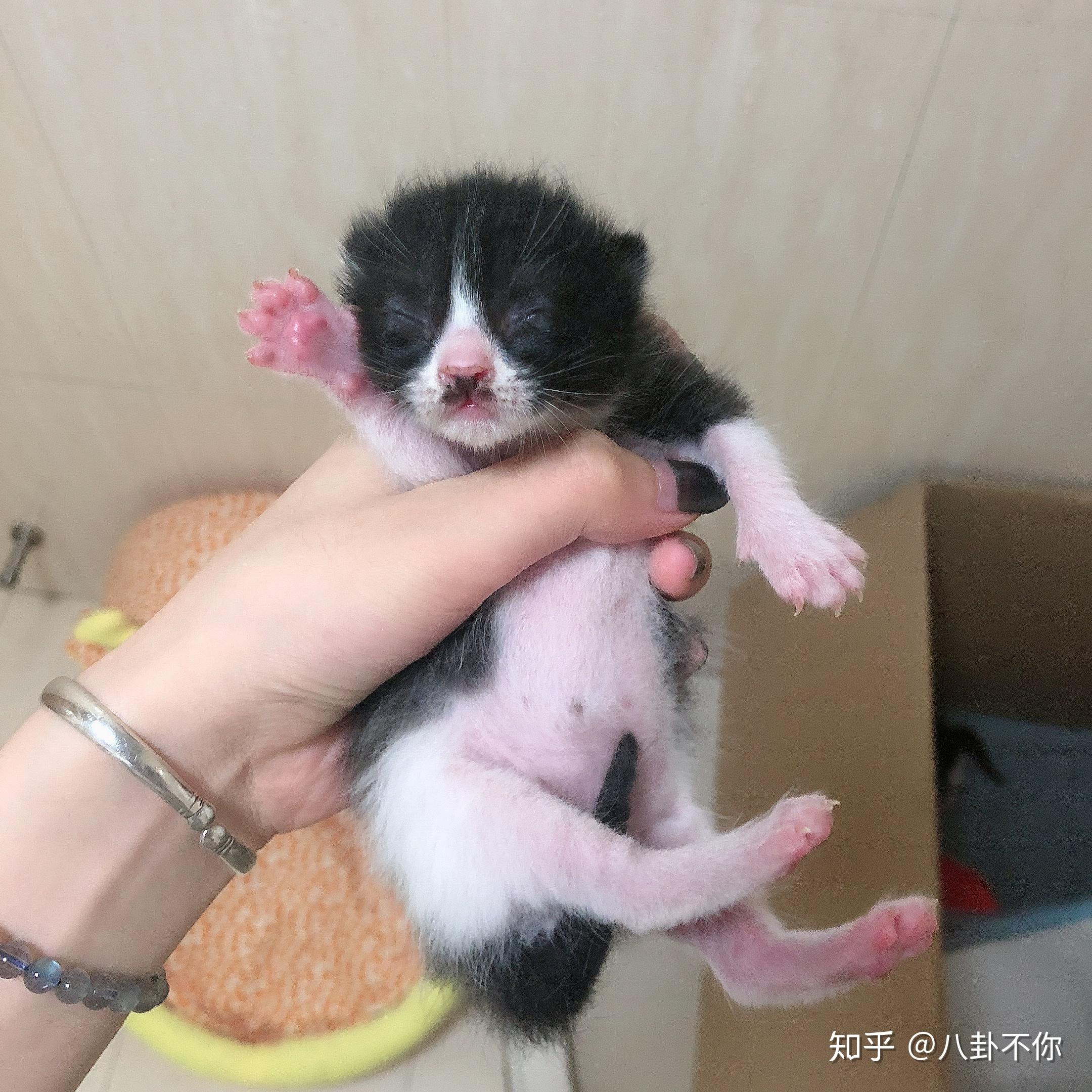 暹罗可以和蓝白串吗串出来是什么样的