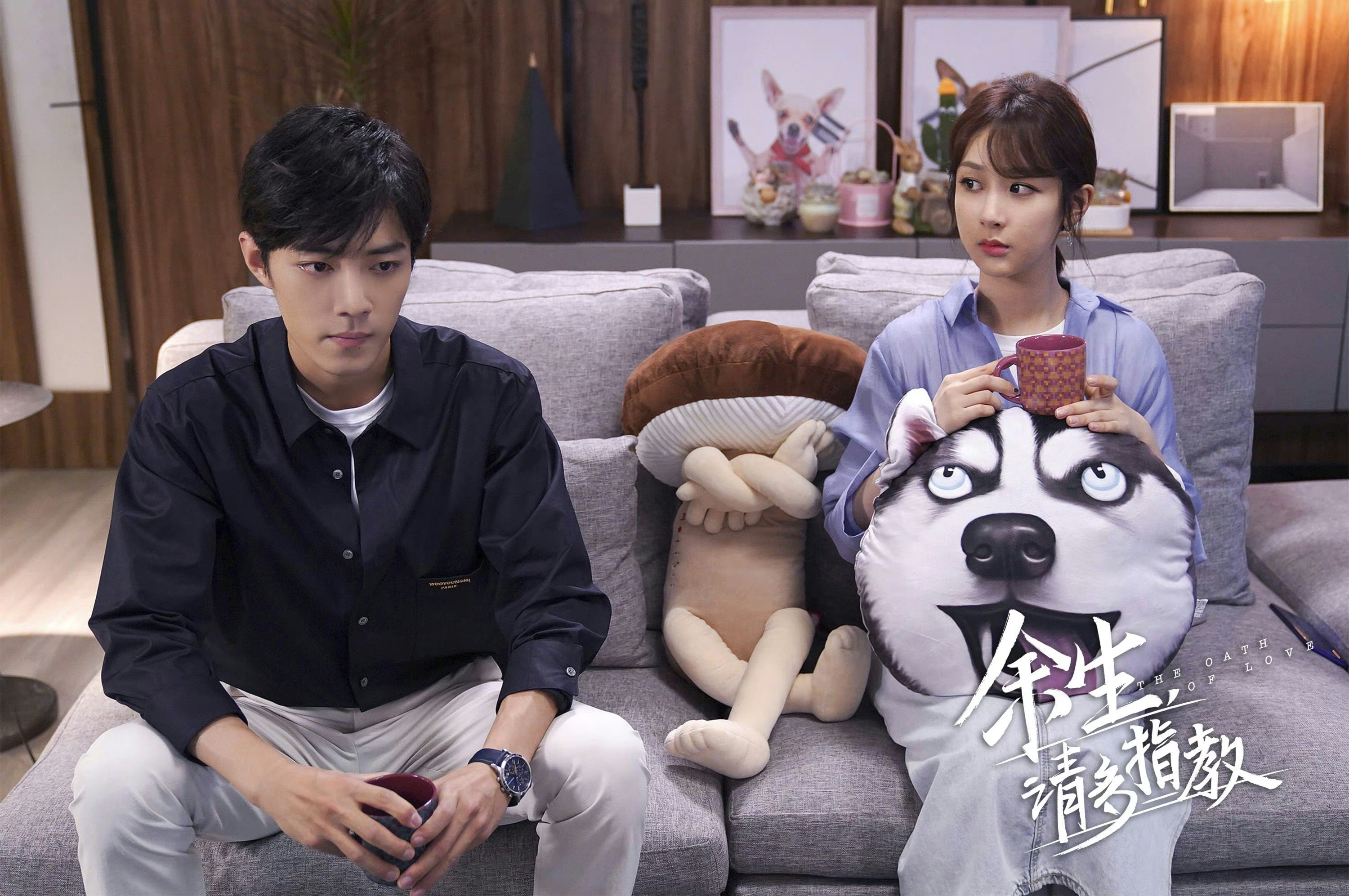 杨紫和肖战主演的电视剧《余生,请多指教》在海外爆火的原因是什么?