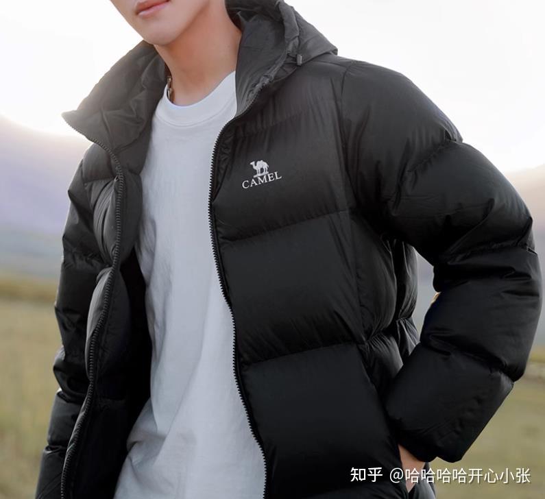 2024羽绒服推荐,这几款两三百的大牌羽绒服亲测不错 - 知乎