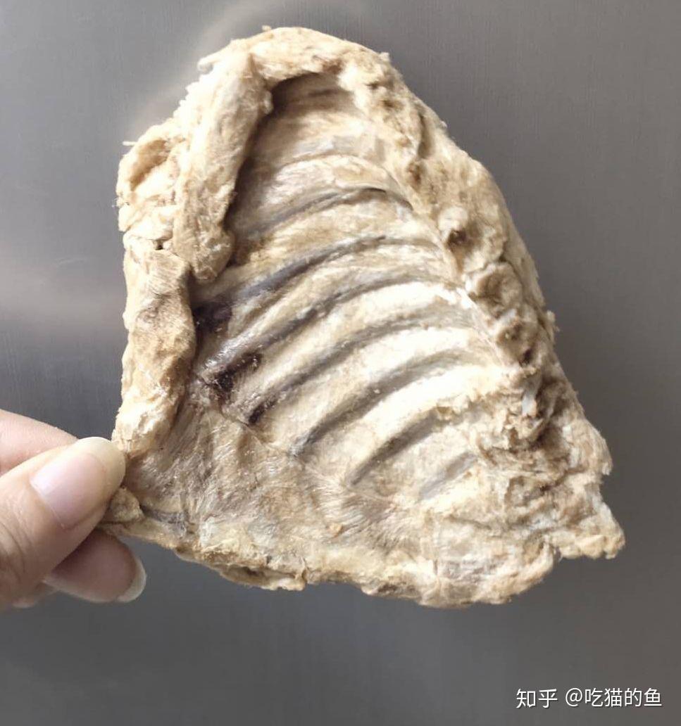 双11有什么好的猫咪零食推荐