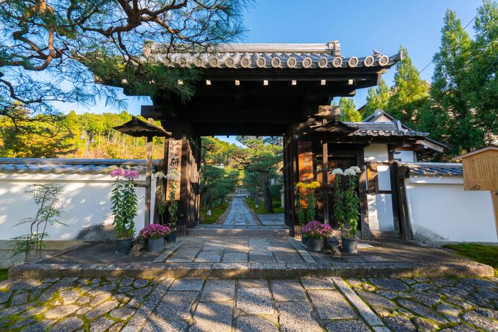 11 京都·圆光寺(下)