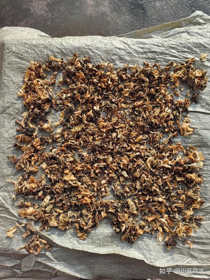 人，可以废物到什么程度？
