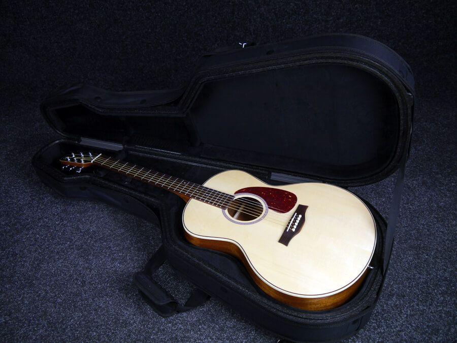 请问一下大家海鸥吉他swsminijumbo这个吉他的优缺点是什么值得买吗