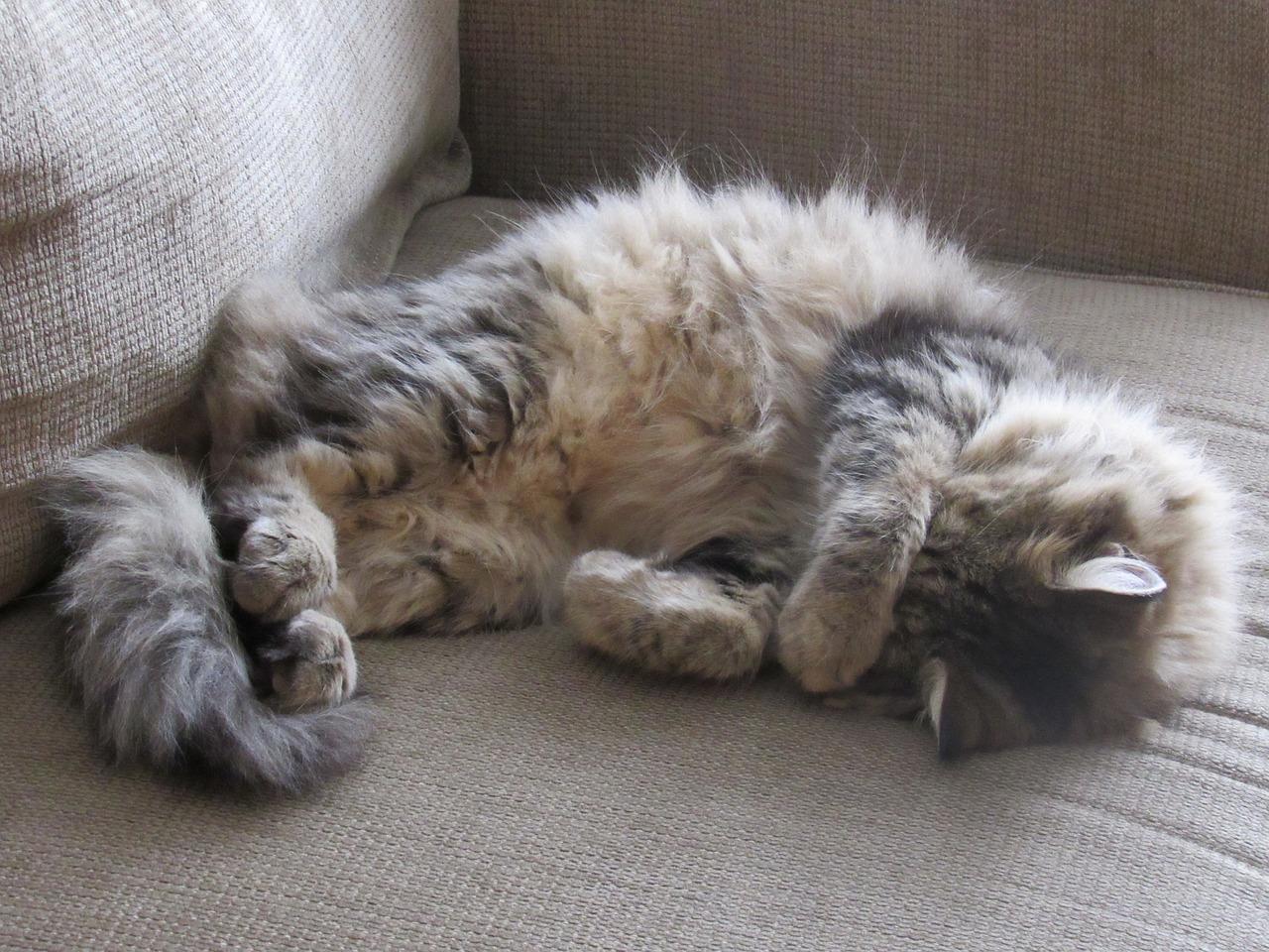 宁静氛围色首选