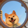 家电达人