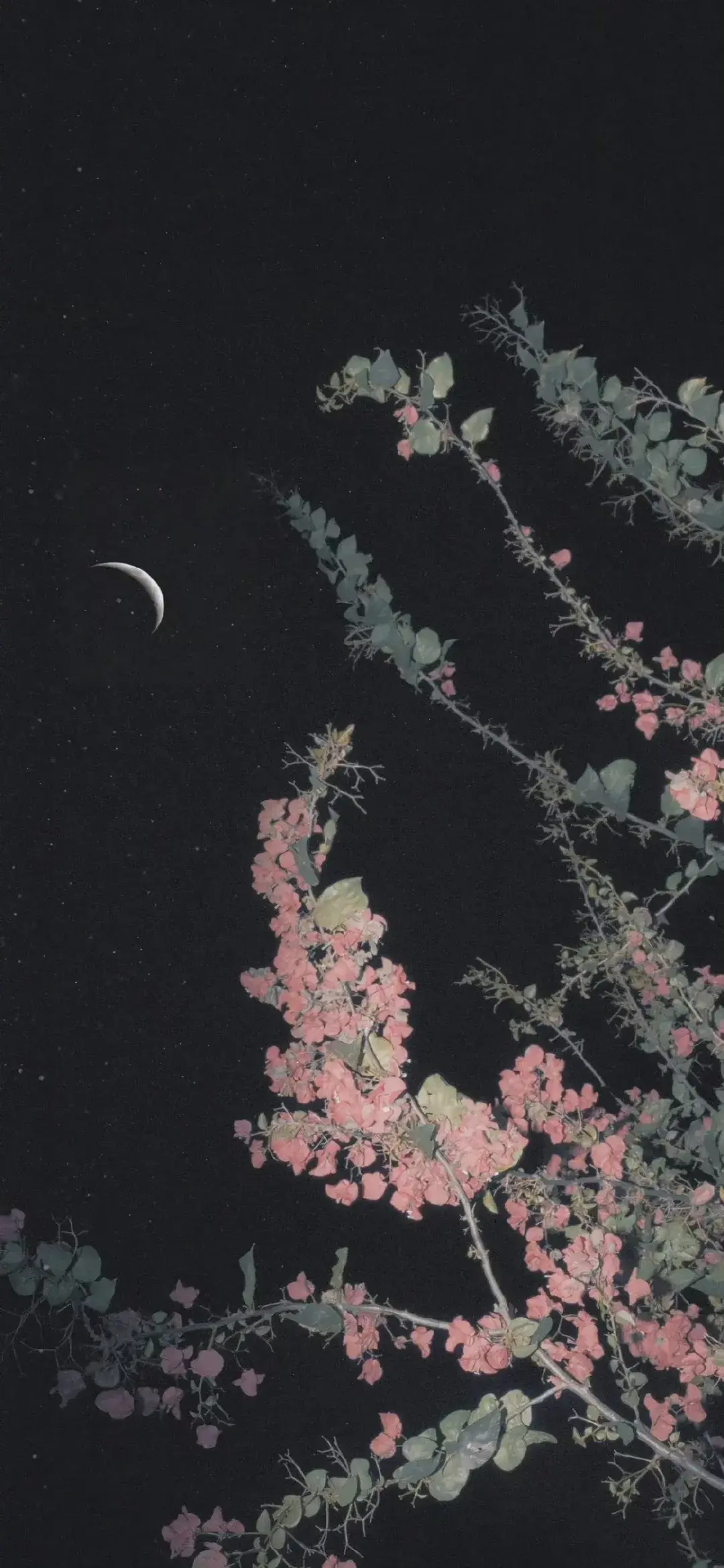 求黑色系壁纸全面屏谢谢