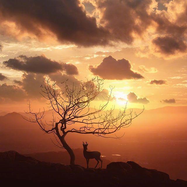 分手后如何走出失恋阴影