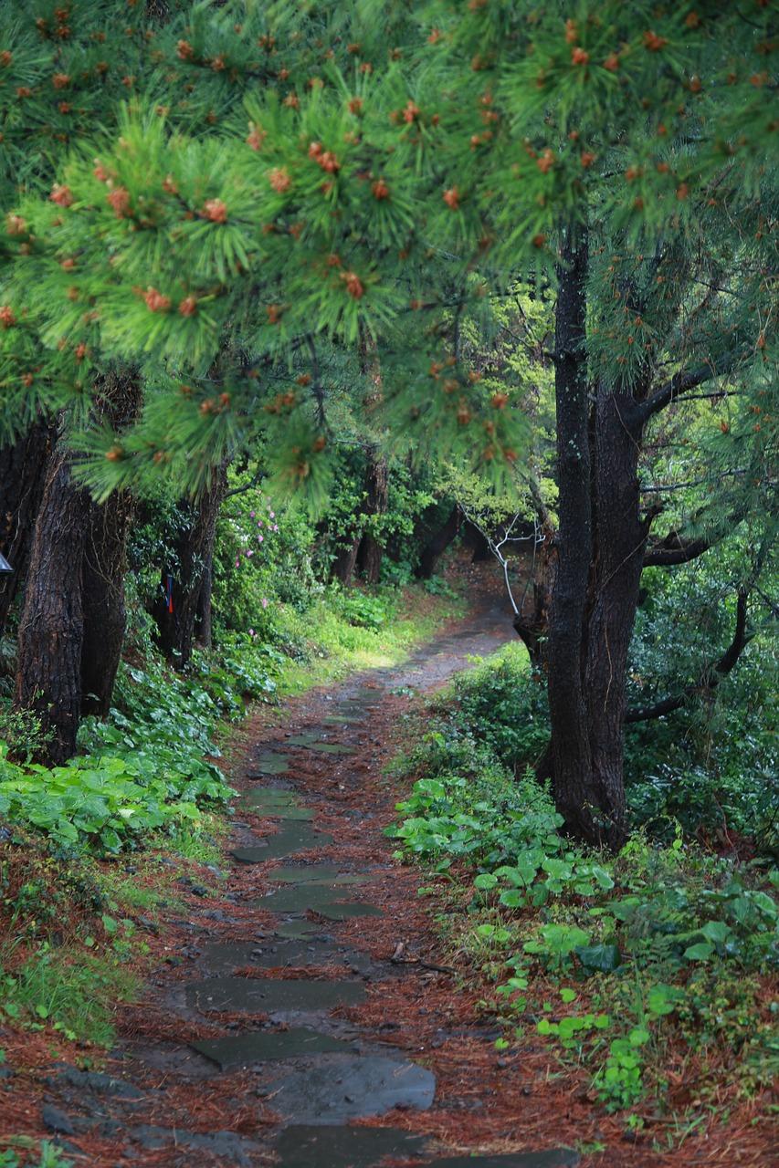 3. 木质家具除味