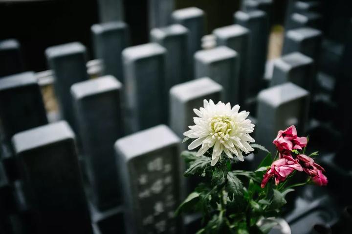 躲不开的生与死,该如何与孩子谈论? - 知乎